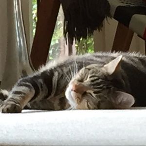 Meet your Posher, Lydia